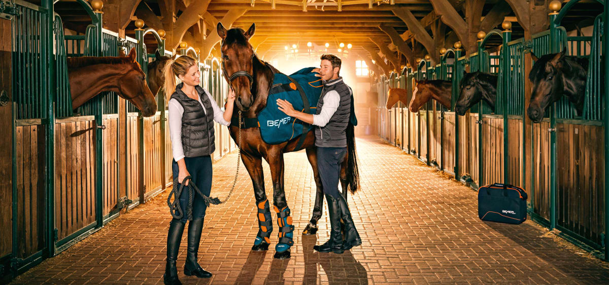 BEMER Veterinary Line Blanket Sessions (1/2 Hour)