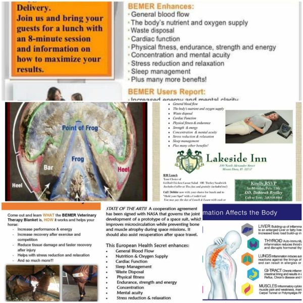 BEMER Veterinary Line Blanket Sessions (1/2 Hour) Chill Rub